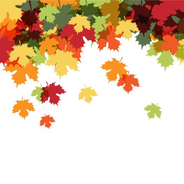 Sonbahar Akçaağaç Yaprak Sonbahar Arka Plan