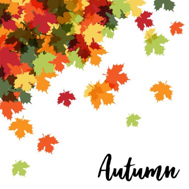 Sonbahar Akçaağaç Yaprak Sonbahar Arka Plan