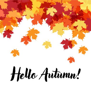 Sonbahar Akçaağaç Arka Plan Bırakır. Vektör İllüstrasyon. Sonbahar Tasarım Koleksiyonu, Arka Planlar, Ambalaj Kağıdı Tasarımı