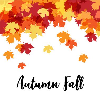 Sonbahar Akçaağaç Arka Plan Bırakır. Vektör İllüstrasyon. Sonbahar Tasarım Koleksiyonu, Arka Planlar, Ambalaj Kağıdı Tasarımı