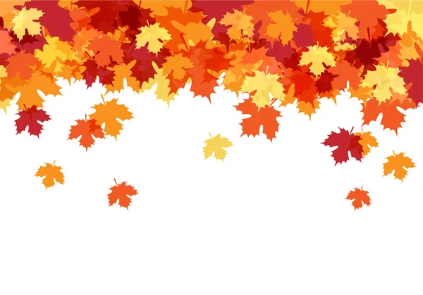 Autumn Maple Leaves Background Ilustración Vectorial Colección Diseño Otoño Fondos — Vector de stock