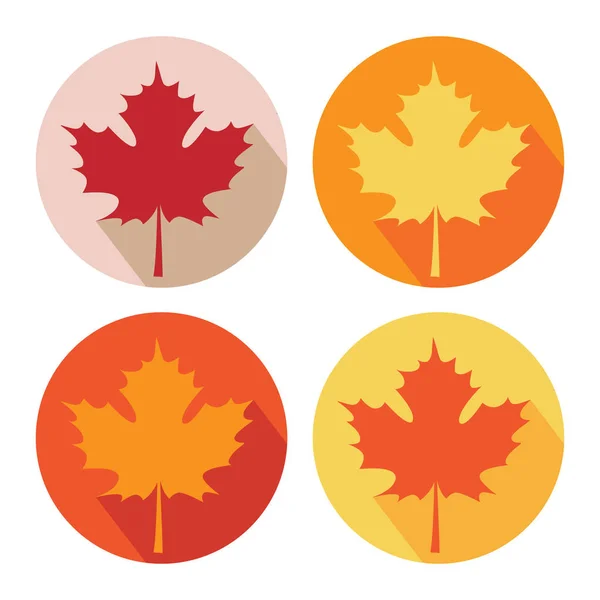 Set of Autumn Maple Leaves — Stock Vector