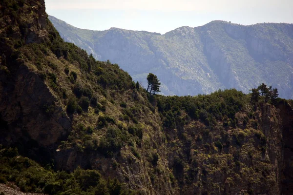 Servische bergen met bomen landschap van Montenegro — Stockfoto