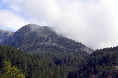 Rocky Dağları Sırbistan'daki bir görünümünü sis arka planı