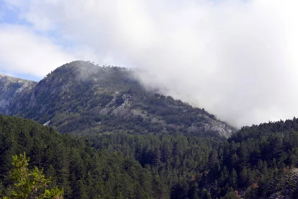 Rocky Dağları Sırbistan'daki bir görünümünü sis arka planı