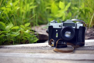 yeşil çim çerçevede bir ahşap bir tahta üzerinde eski fotoğraf makinesi duruyor