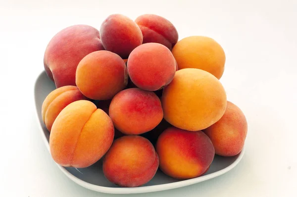 Isoliert frische saftige Pfirsiche Früchte und reife Aprikosen isoliert auf weißem Teller. Sommerfruchtkonzept. Nahaufnahme — Stockfoto