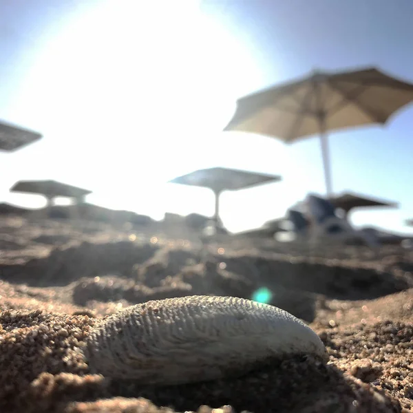 Bela paisagem marinha no mar azul ao ar livre com areia amarela — Fotografia de Stock