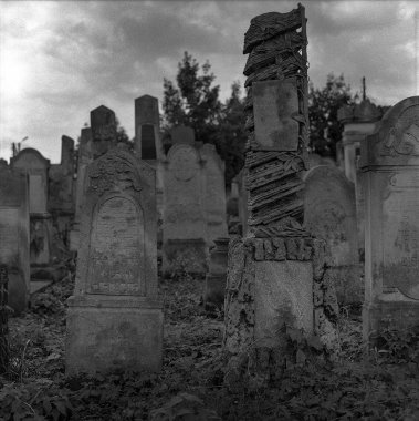 Ağaçların arasında taş mezarlar ile eski terk edilmiş Yahudi mezarlığı