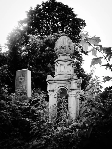 Antigo cemitério judaico abandonado com sepulturas de pedra entre árvores — Fotografia de Stock