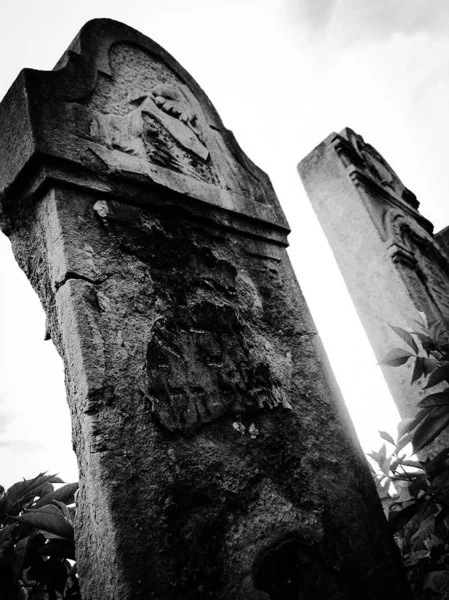 Старое заброшенное еврейское кладбище с каменными могилами между деревьями — стоковое фото