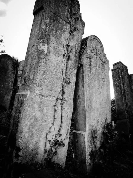 Old abandoned Jewish cemetery with stone graves between trees — Stock Photo, Image