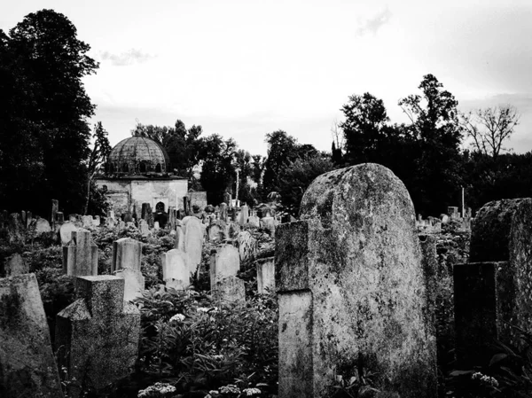 Antigo cemitério judaico abandonado com sepulturas de pedra entre árvores — Fotografia de Stock