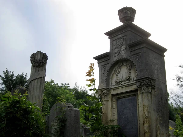 Gammal övergiven judisk kyrkogård med stengravar mellan träd — Stockfoto
