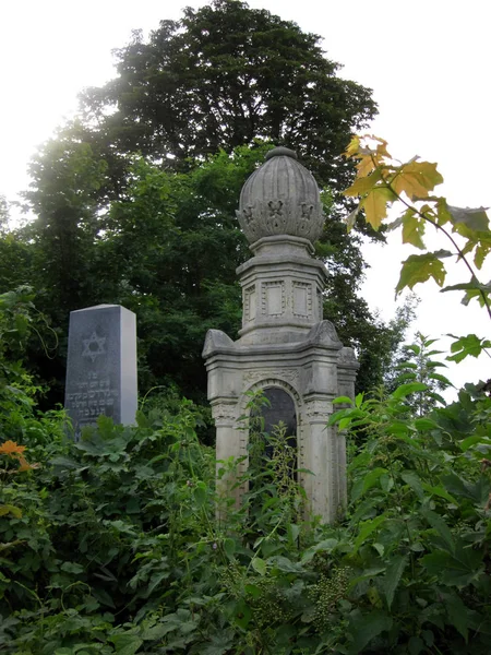 Alter verlassener jüdischer Friedhof mit Steingräbern zwischen Bäumen — Stockfoto