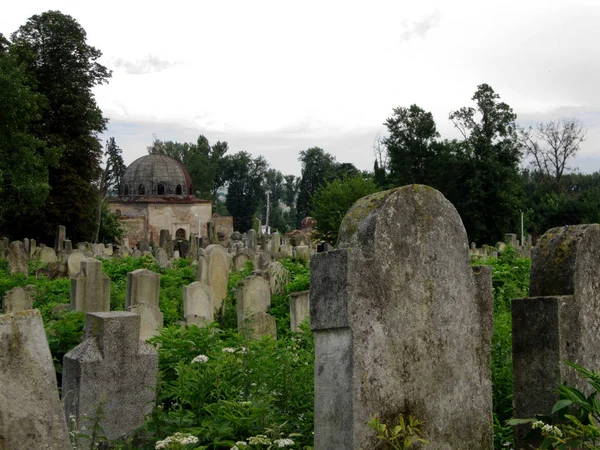 Старое заброшенное еврейское кладбище с каменными могилами между деревьями — стоковое фото
