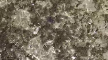 Yaz gününde güzel sahilde ıslak tuzlu deniz suyu. Küçük dalgalarda mavi sıvı deniz suyu köpükleri, sprey dağılım damlaları. Rezervuarın taş dibini görebileceğiniz saydam deniz suyu.
