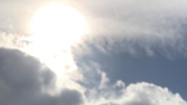 Kanatlı arı yavaş yavaş çiçek özel apiary üzerinde bal için nektar toplamak arı kovanı için uçar. Arı kovanı için oluşan bal video, arı bacakları üzerinde ağır polen. Arı kovanından beslenme ballı arı balı.