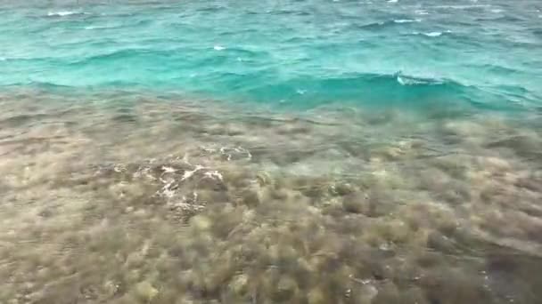 在美丽的海岸上潮湿的咸海水 蓝色液态海水泡沫在小波 滴雾散射 透明的海水 通过它你可以看到水库的石底 — 图库视频影像