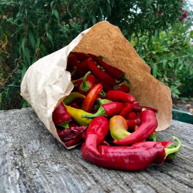 Fotoğraf temalı uzun kırmızı acı biber