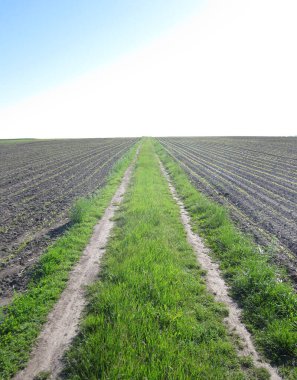 Açık kırsal alanda, kahverengi toprakta patates için sürülmüş tarla. Tarlada patates, toprakta lezzetli sebzeler. Temiz mavi gökyüzünün altındaki organik tarlalar patates için doğal topraktır..