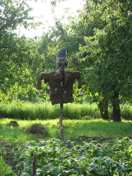 Scary Scarecrow Garden Discourages Hungry Birds Beautiful Landscape Consists Scary — Stock Photo, Image