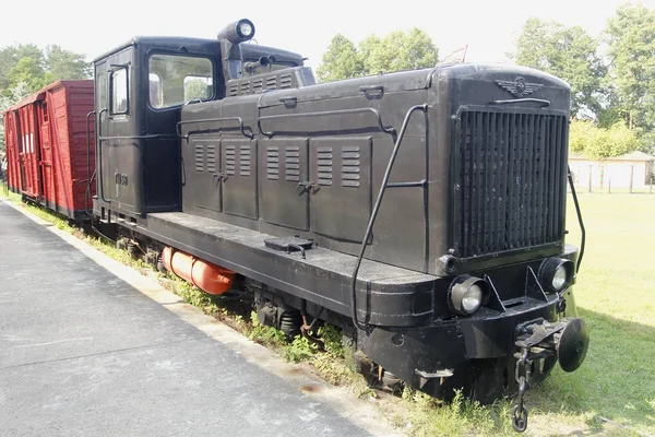 Burada mahkumlar çalışma kampı için eşlik bir eski Sovyet tren. Druskininkai, Litvanya yakın Grutas park.