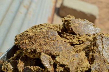 pamuk tohumu yağı kek açık 