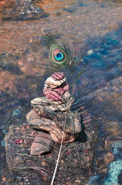 Tavus kuşu tüyleri taşın üzerinde ve güzel su sırt grubu 