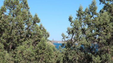 tatil, yaz, deniz, sıcak, güneş, iyi ruh hali, kabukları, dağlar, defne