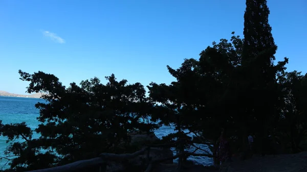 Tatil Yaz Deniz Sıcak Güneş Iyi Ruh Hali Kabukları Dağlar — Stok fotoğraf
