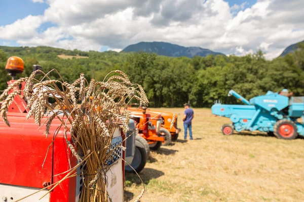 bir demet buğday kulakları alanın arka planı. Fransa köy hasat. Yaz Tarım ekonomisi manzara.