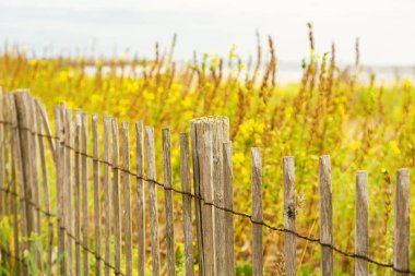 Fransa 'nın güneyindeki bir doğa parkında yeşil bitkilerin arka planına karşı tahta bir çit..