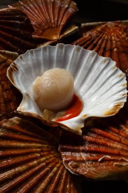 Fistolar lavaboda. Fotoğraf düşük anahtar içinde taze deniz ürünleri.