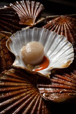 Fistolar lavaboda. Fotoğraf düşük anahtar içinde taze deniz ürünleri.