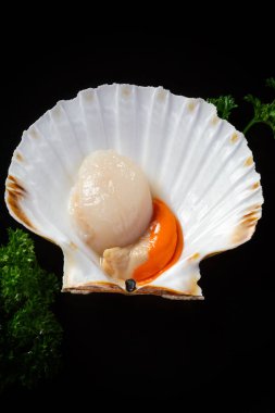 Kabuk üst taze tarak görüntüleyin. Deniz ürünleri düşük anahtar içinde güzel görüntüsü.