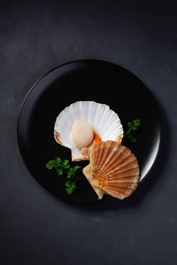 Kabuk üst taze tarak görüntüleyin. Deniz ürünleri düşük anahtar içinde güzel görüntüsü.