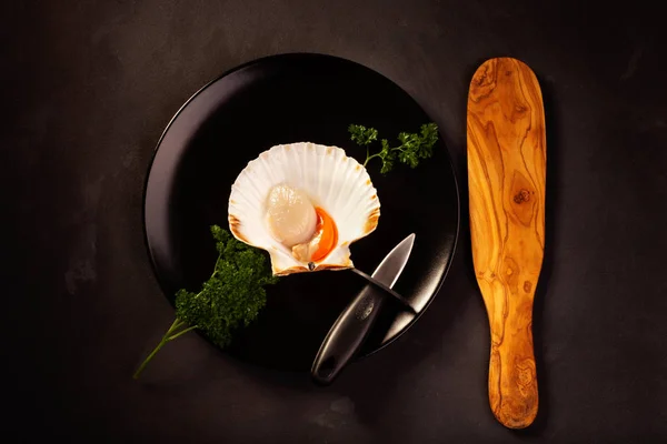 Taze büyük tarak Shell. Yukarıdan yiyecek fotoğrafçılıkta düşük anahtar.