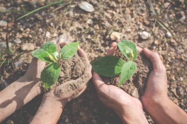 Bahçede çocuklar için çevre koruma kavramı.