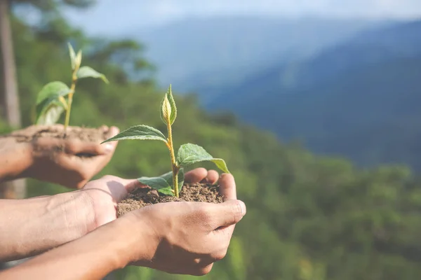 Concepto Conservación Ambiental Jardín Para Niños — Foto de Stock