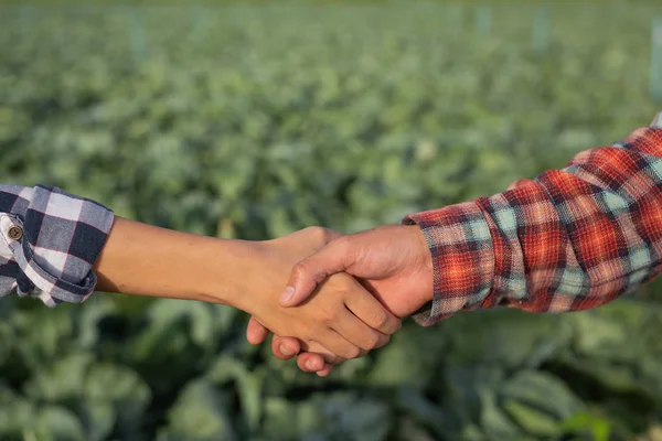 Men Women Who Hand Hand Garden Business — Zdjęcie stockowe