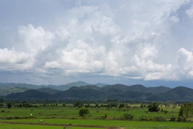 Wide angle view of beautiful rice fields and mountains with cloudy clouds.