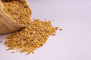 Beyaz arka planda torbadan taşan pirinç..