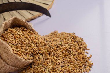 Kumaş çantadan çıkarılan Paddy 'nin yanında beyaz zeminde tarımsal aletler var..