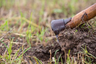 Kazan yaşlı çapa.