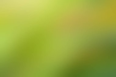 Bulanık doğal yeşil arkaplan.