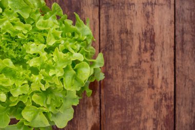 Lettuce concept that is placed on a brown wooden floor.