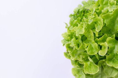 Beyaz arkaplana yerleştirilen marul konsepti.