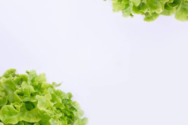 Beyaz arkaplana yerleştirilen marul konsepti.