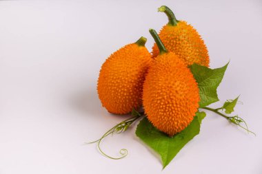 Gac fruit, The fruit of a few plants with vines growing on the ground, with thorns on a white background.